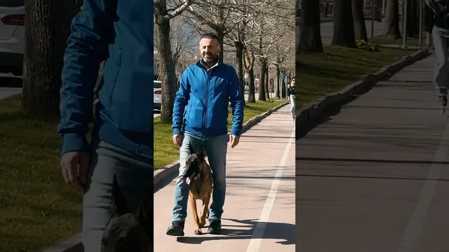 "Joker'dan İleri İtaat Performansı" videosunun kapak görseli