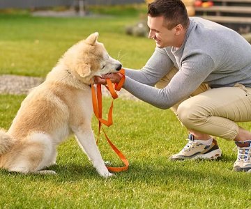 denizli-ozel-egitim-kopek denizli-ozel-egitim-kopek